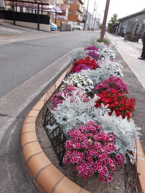 写真:花壇のようすその2