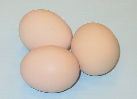 名古屋コーチンの卵の写真