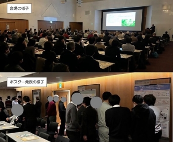 写真:令和6年度調査研究発表会の様子