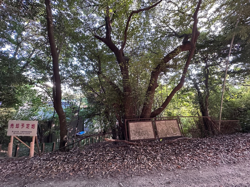 市12「天白区天白町大字八事字山田24番535」の物件を北側から撮影した写真です。