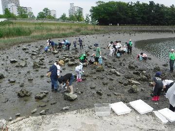 写真：観察の様子