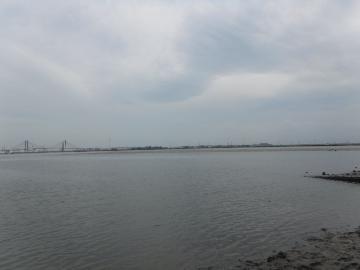 写真：藤前干潟