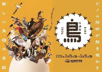 写真:特別展「鳥」のチラシ
