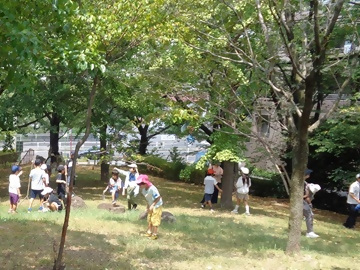 写真:ネイチャーゲームの様子