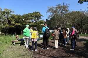 写真:まめなしの実の観察会の様子