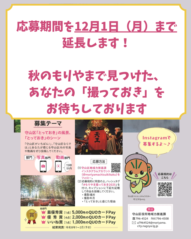 写真:もりやま「撮っておき」魅せ隊!写真&動画コンテスト作品募集チラシ