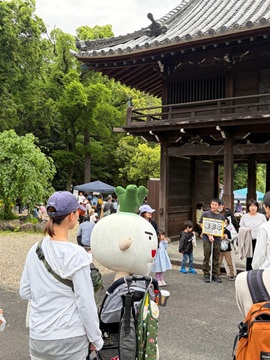 写真：ショウちゃん