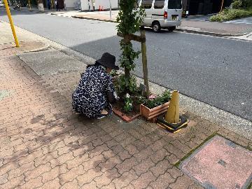写真:花植えの様子1