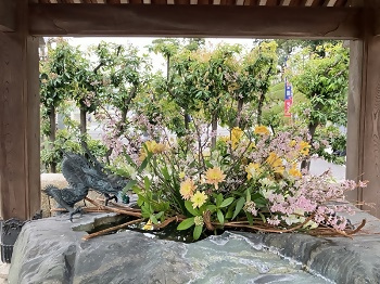 写真:法持寺の手水舎の花