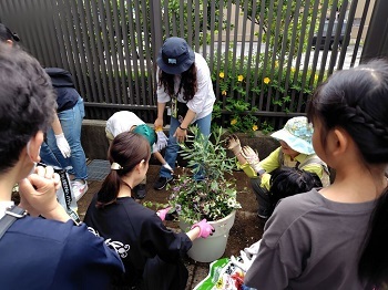 写真:滝澤氏による植え方講習