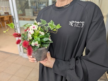 写真:お持ち帰り用の鉢植え