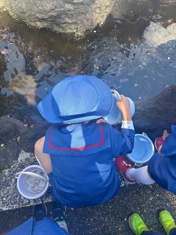 写真:メダカを見守る園児