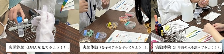 写真：実験体験の様子