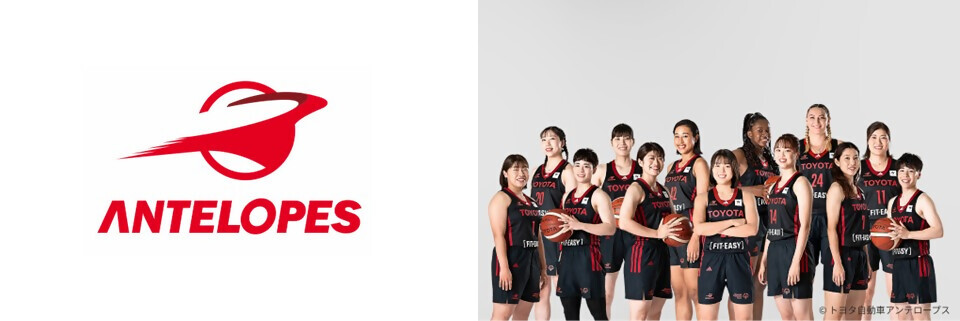 トヨタアンテロープスのロゴ・写真