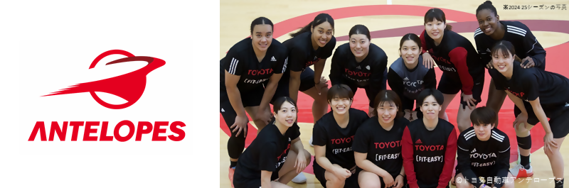 トヨタアンテロープスのロゴ・写真