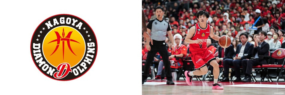 名古屋ダイヤモンドドルフィンズのロゴ・写真