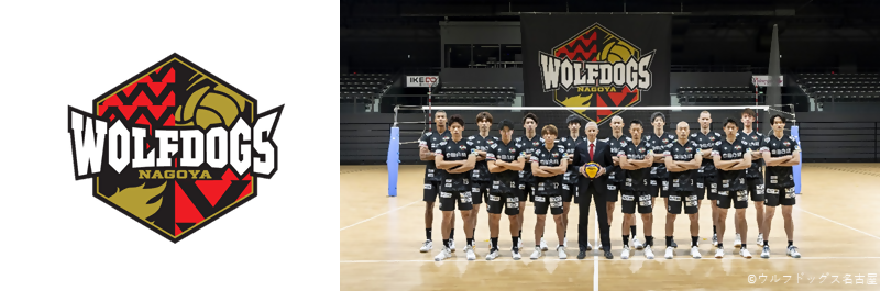 ウルフドッグス名古屋のロゴ・写真