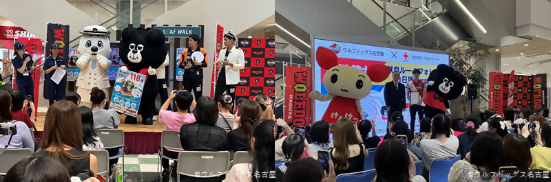 写真:ウルフドッグス名古屋による地域活性化活動