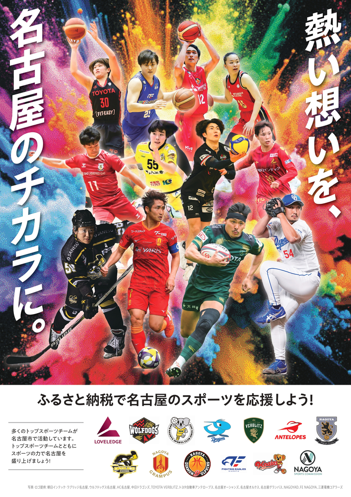 写真：トップスポーツチーム活動支援事業チラシ