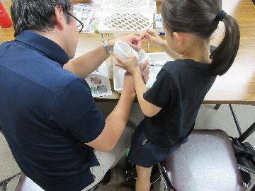 写真:DNAの抽出実験の様子