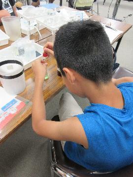 写真:着色料の検査体験の様子