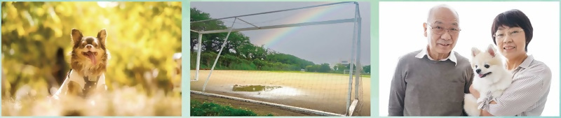 写真:フォトコンテスト見本写真2