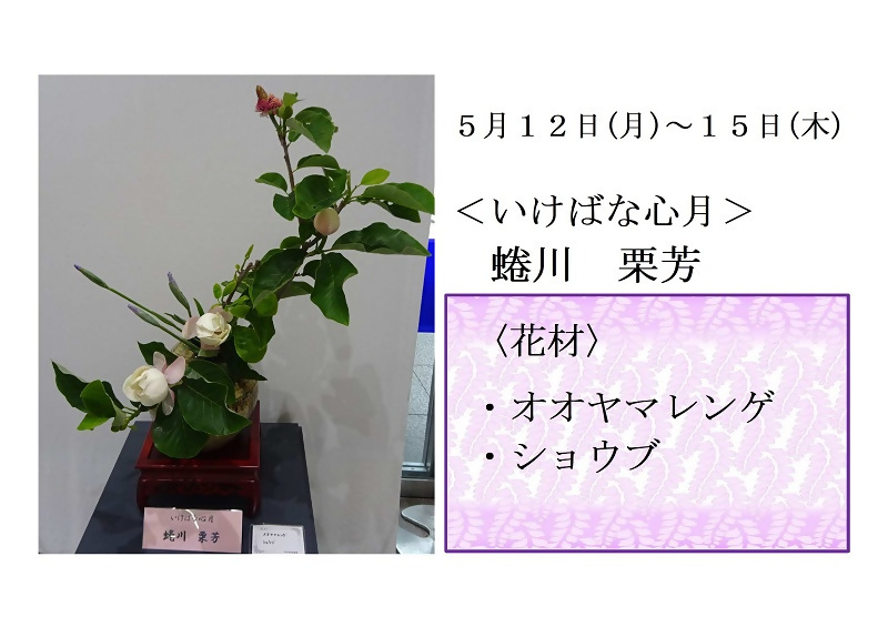 5月12日いけばなの写真