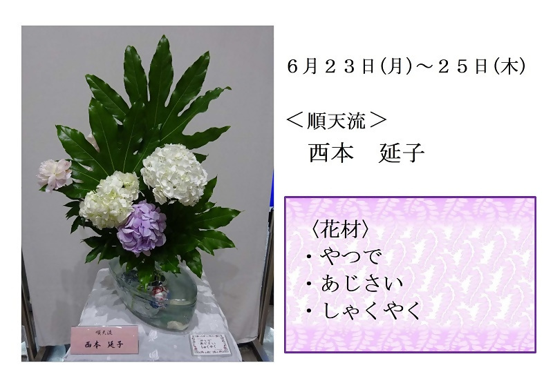 6月23日いけばなの写真