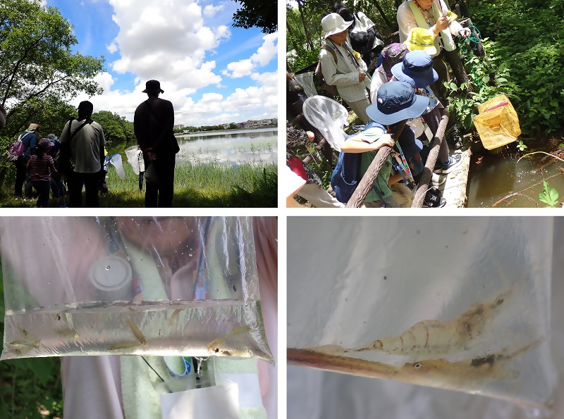 写真：水辺での散策の様子です