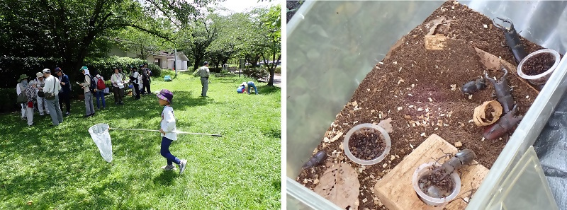 写真：散策終了の様子です