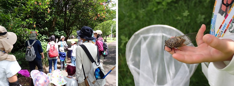 写真：緑地内の散策の様子です