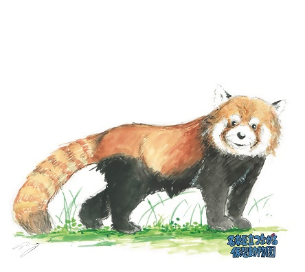 イラスト：「名東立つながる仮想動物園」のイメージ