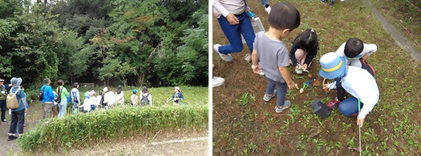 写真：ネイチャーゲームの様子