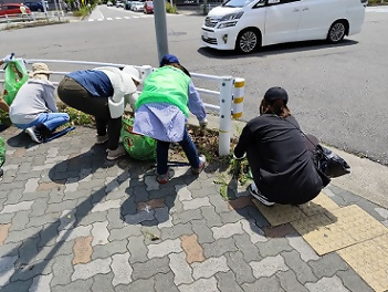 写真:ガードレール下のごみを拾う参加者の皆さん