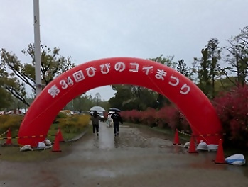 写真：ひびのコイまつりのゲート