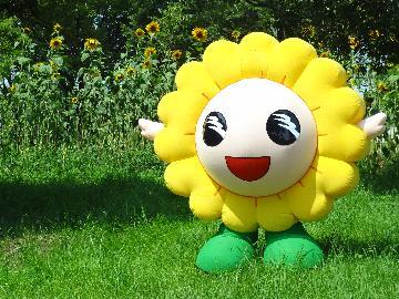 写真:ミオー お花畑へようこそ