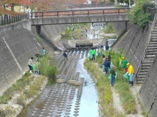植田川を清掃している写真