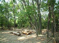 写真:相生山緑地内集いの広場