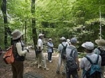 写真:昆虫探し!「どこにいる?!」