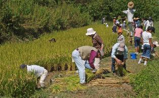 写真:会員の定例活動の様子