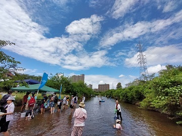 写真:生き物探しのイベントの様子