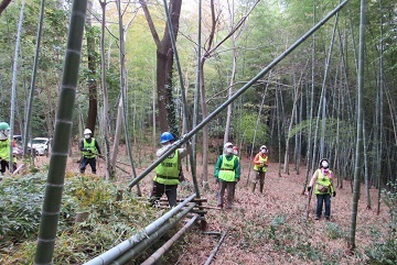 写真:天白公園の樹木の整備をしている様子