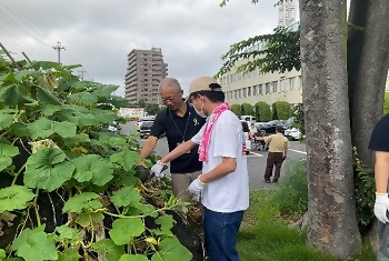 写真：収穫の様子