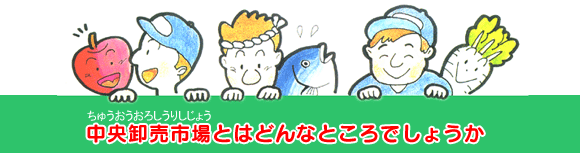 イラスト:中央卸売市場とはどんなところでしょうか。