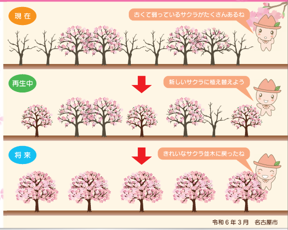 イラスト：桜並木の再生のイメージ図