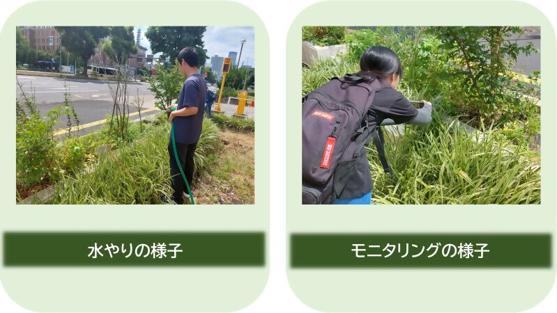 写真：学生作業（水やり、モニタリング）