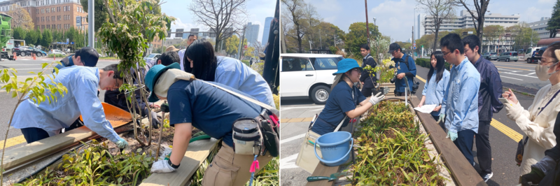 植栽作業の様子写真