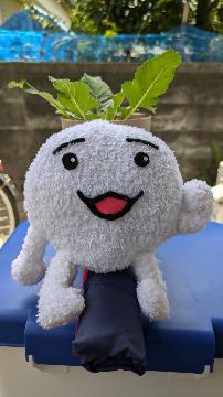 写真:「みっこ」さんの投稿