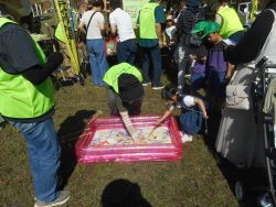 写真:働く車ゾーンの様子1