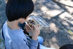 写真:来場者の様子2